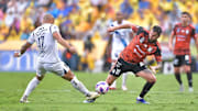 Tigres UANL v Puebla - Torneo Apertura 2024 Liga MX