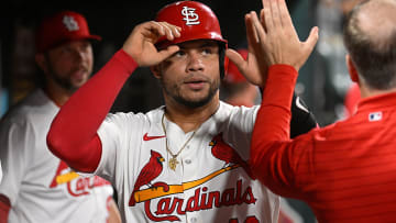Chicago White Sox v St. Louis Cardinals