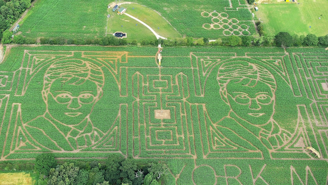 Harry Potter and the Corn Maze of Secrets. Harry Potter and the Corn Maze of Secrets.