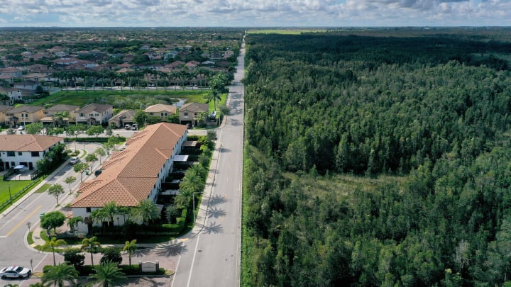 Miami-Dade County Plans To Build Highway Through Everglades Angers Environmentalists