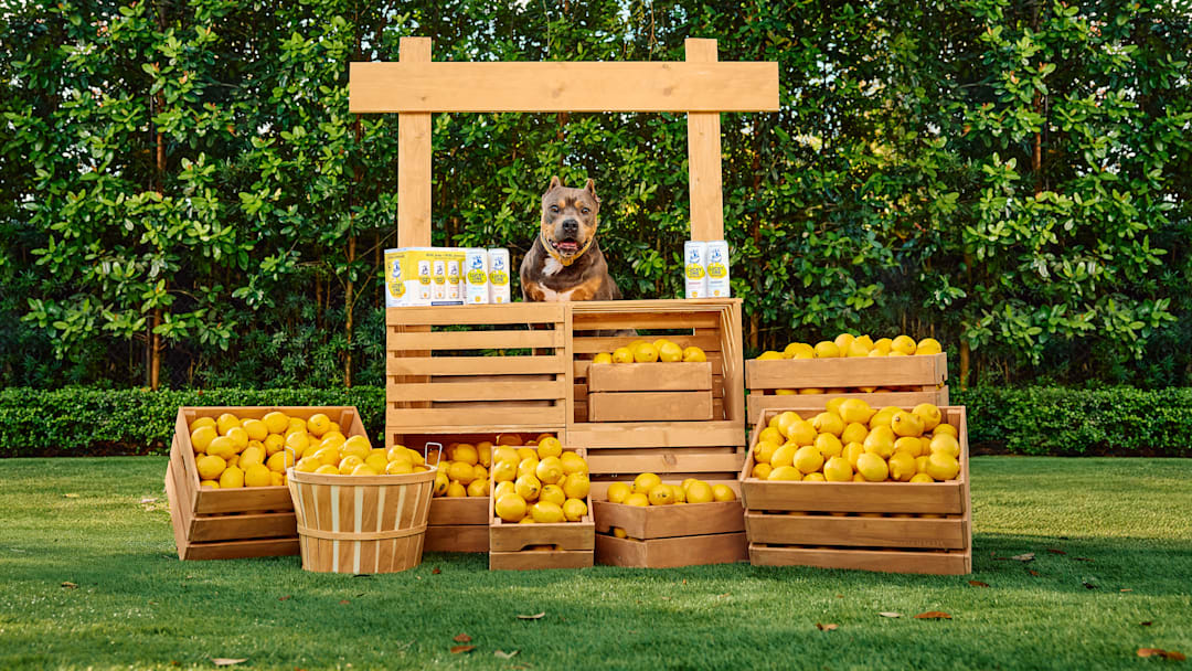 Drinks that Give Back for National Rescue Dog Day (5/20) ft. Miss Peaches