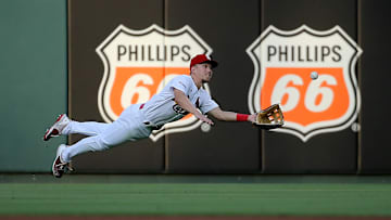Houston Astros v St. Louis Cardinals
