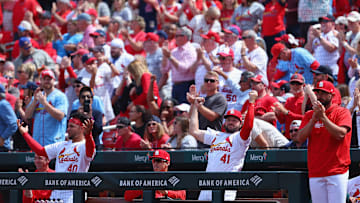 Arizona Diamondbacks v St. Louis Cardinals