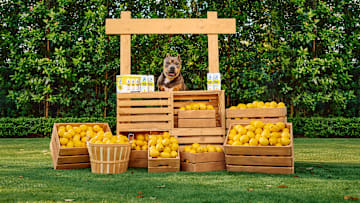 Drinks that Give Back for National Rescue Dog Day (5/20) ft. Miss Peaches