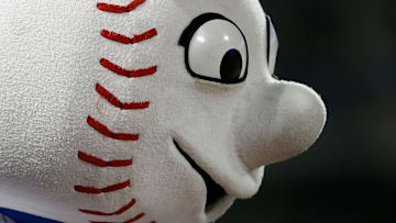 Mr. Met is waiting for some excitement