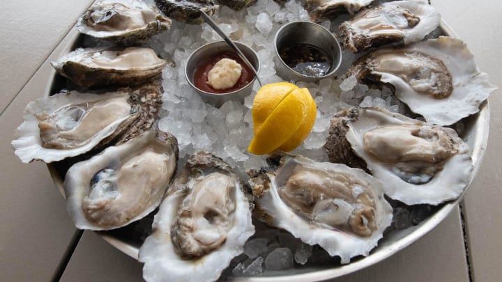 A platter of raw oysters at the Atlas Oyster House in Pensacola on Thursday, Feb. 15, 2024.