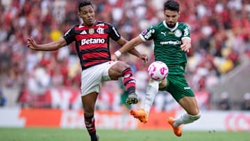Flamengo e Palmeiras disputam o título do Brasileirão Série A 2025