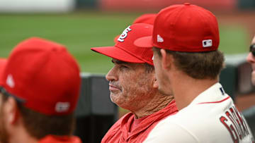 Detroit Tigers v St. Louis Cardinals