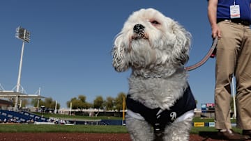 San Diego Padres v Milwaukee Brewers