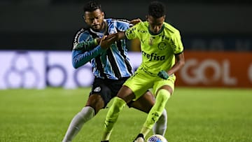 Palmeiras e Grêmio se encontram no Allianz Parque