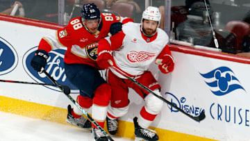 Detroit Red Wings v Florida Panthers