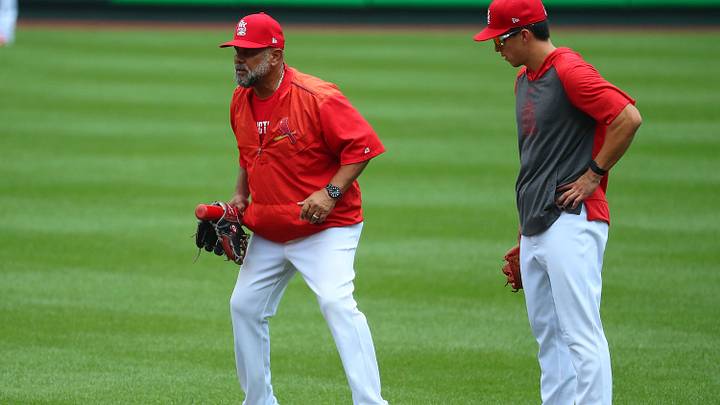 St Louis Cardinals Summer Workouts
