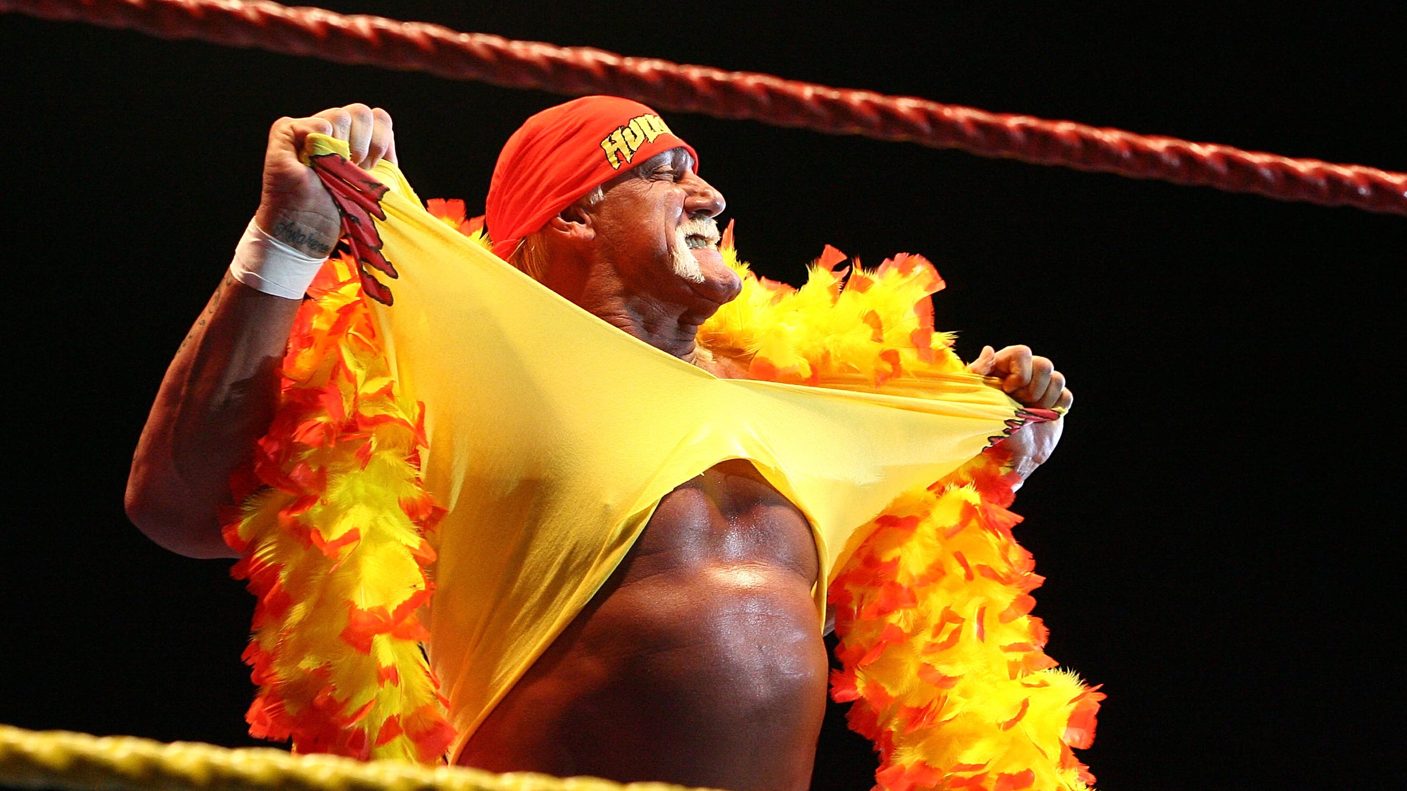 The Immortal Hulk Hogan: A Too Brief Look at The Career that Shaped an Industry