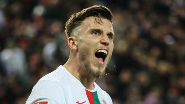 Ermedin Demirovic