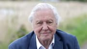 Sir David Attenborough Opens Woodberry Wetlands