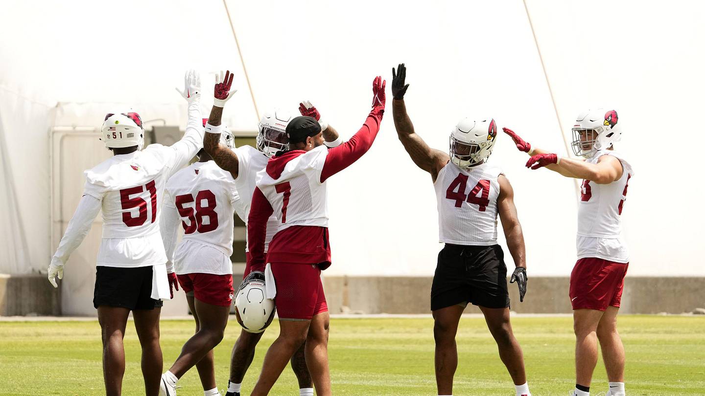 Analyst Highlights Arizona Cardinals' Biggest Offseason Gamble - Vimarsana News