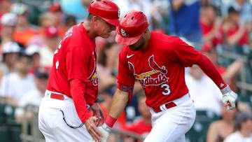 Houston Astros v St. Louis Cardinals