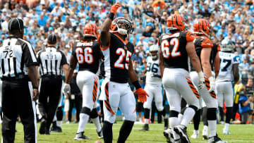 Cincinnati Bengals v Carolina Panthers