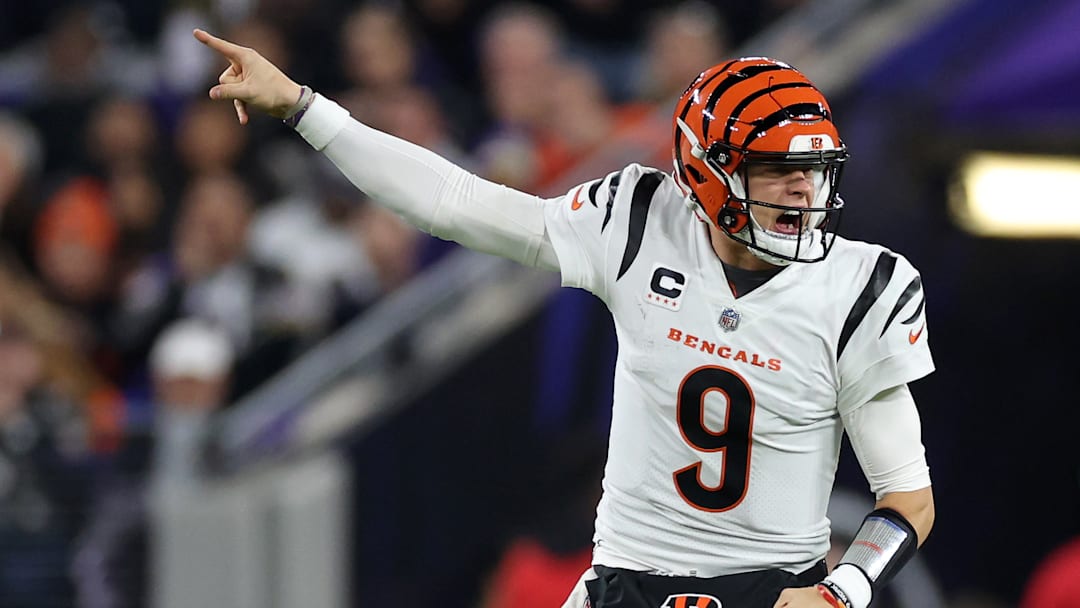 Cincinnati Bengals v Baltimore Ravens