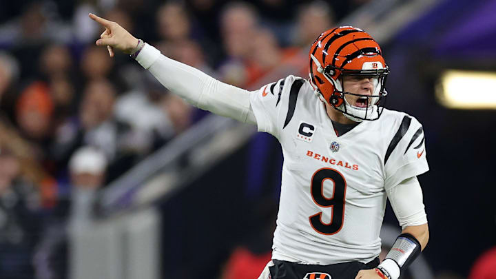 Cincinnati Bengals v Baltimore Ravens