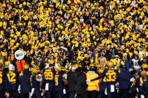 Michigan Football crowd