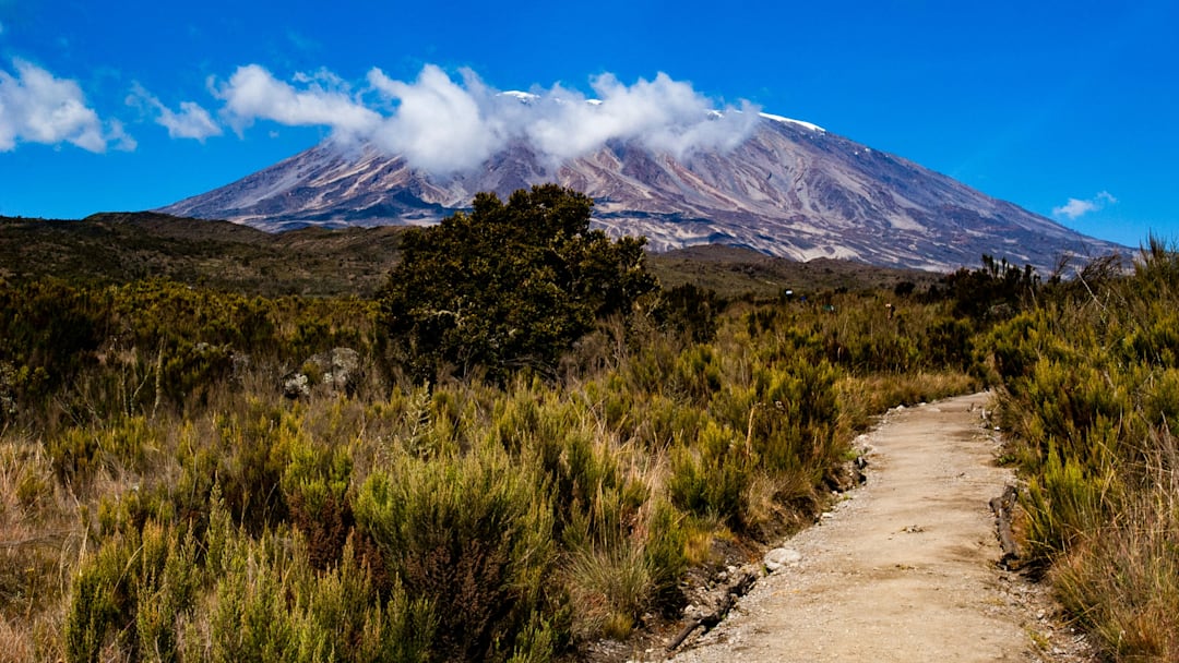 Path looking toward Mount Kilimanjaro