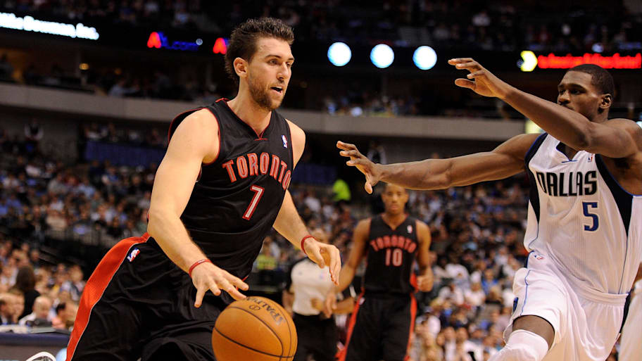 Raptors