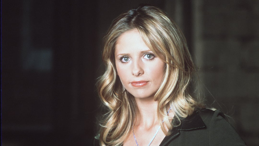 Buffy The Vampire Slayer Year 5 TV Stills