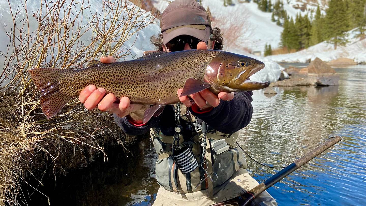 Flying Fish Rou Best Practices for an Epic Fly Fishing Road Trip