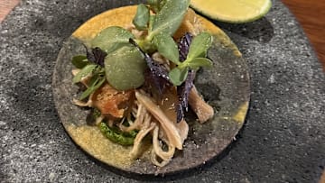 Blue Corn Taco with Duck Confit at Xal, La Casa de La Playa