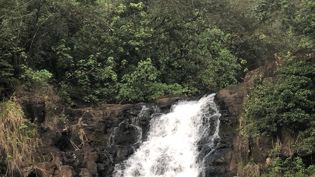 Waimea Falls, Oahu, Hawaii, as shown Feb. 2, 2020.

Waterfall