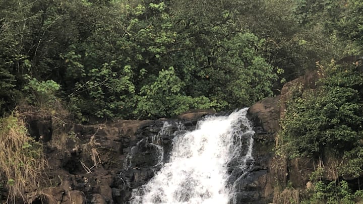 Waimea Falls, Oahu, Hawaii, as shown Feb. 2, 2020.

Waterfall