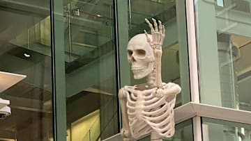Skeletons hang around Dr Phillips Center