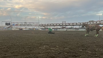 Cory Solomon completing his tie in the tie-down roping competition.