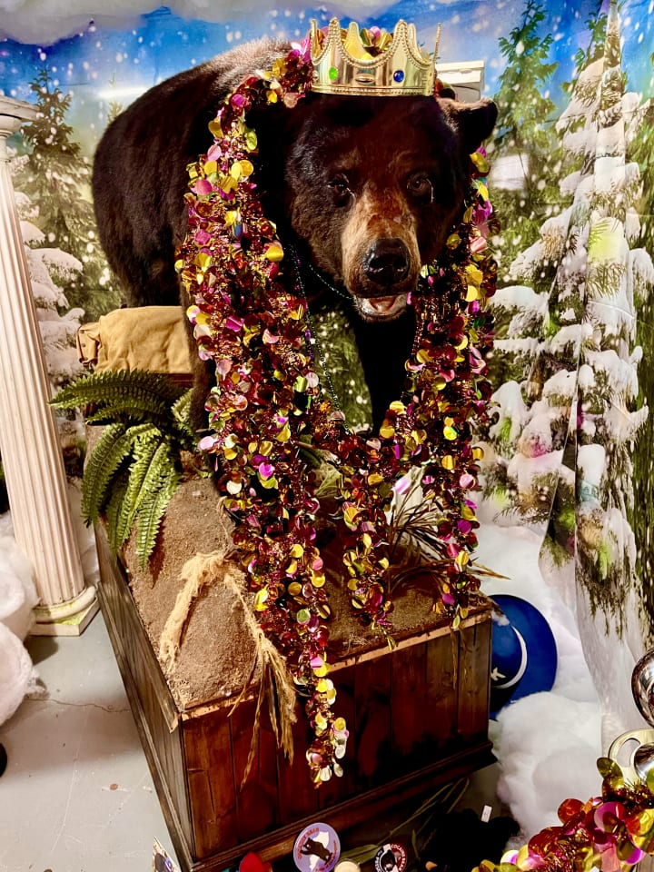 Cocaine Bear decked out for Mardi Gras.