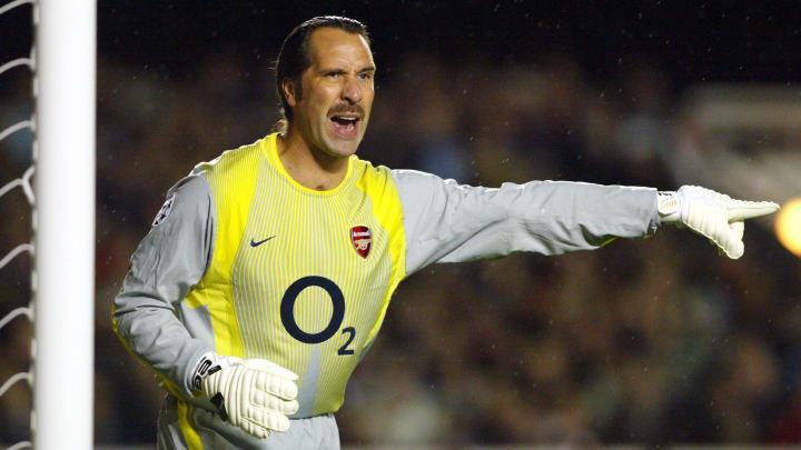 David Seaman of Arsenal