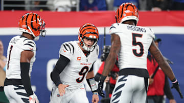 Cincinnati Bengals v New York Giants