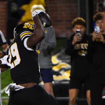 Nov 15, 2025; Columbia, Missouri, USA; Missouri running back Ahmad Hardy (29) celebrates after scoring a touchdown during the first half of a game.