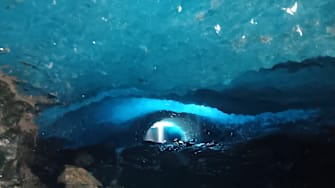 No glacier bears were found in this Alaska ice cave in July 2024.