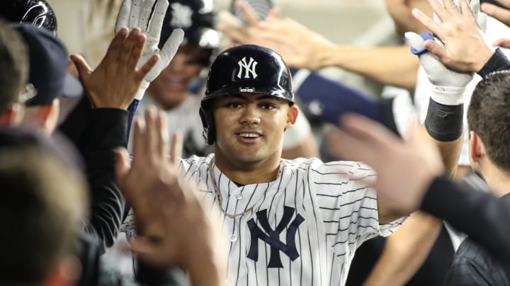 Sep 8, 2023; Bronx, New York, USA;  New York Yankees center fielder Jasson Dominguez (89) is greeted in the dugout after hitting a home run in the third inning against the Milwaukee Brewers at Yankee Stadium. Mandatory Credit: Wendell Cruz-USA TODAY Sports