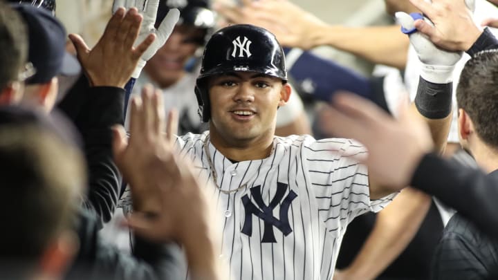 Sep 8, 2023; Bronx, New York, USA;  New York Yankees center fielder Jasson Dominguez (89) is greeted in the dugout after hitting a home run in the third inning against the Milwaukee Brewers at Yankee Stadium. Mandatory Credit: Wendell Cruz-USA TODAY Sports