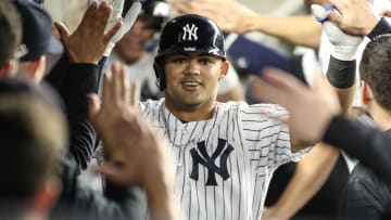 Sep 8, 2023; Bronx, New York, USA;  New York Yankees center fielder Jasson Dominguez (89) is greeted in the dugout after hitting a home run in the third inning against the Milwaukee Brewers at Yankee Stadium. Mandatory Credit: Wendell Cruz-USA TODAY Sports