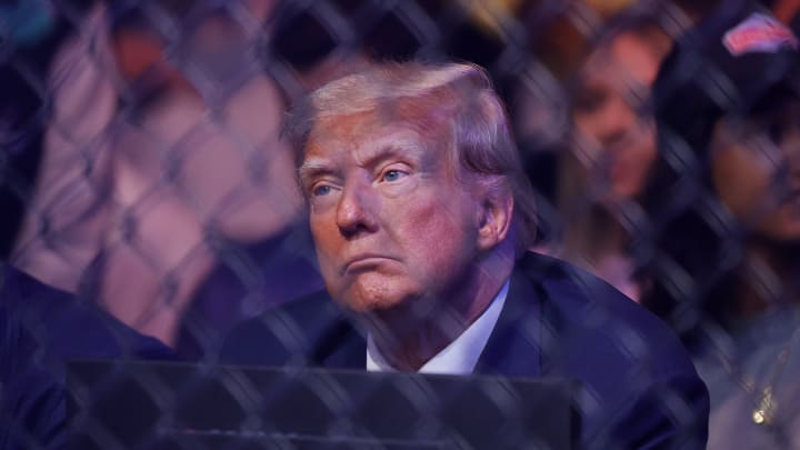 Donald Trump at a UFC event