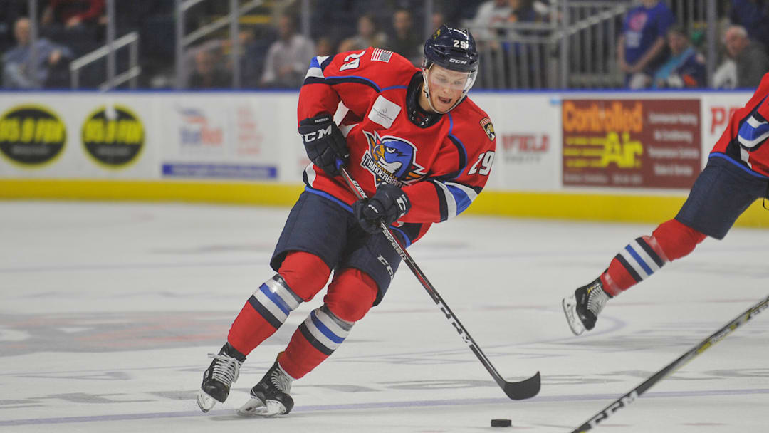 Springfield Thunderbirds v Bridgeport Sound Tigers