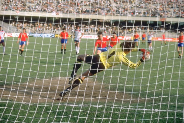 Ray Clemence of England