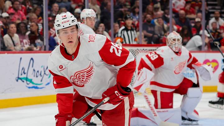 Apr 15, 2026; Sunrise, Florida, USA; Detroit Red Wings forward Michael Brandsegg-Nygard (28) moves the puck against the Florida Panthers during the second period at Amerant Bank Arena. Mandatory Credit: Sam Navarro-Imagn Images