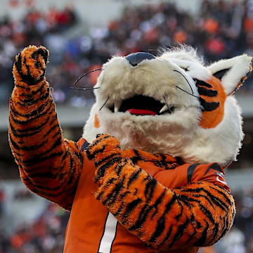 Dec 4, 2022; Cincinnati, Ohio, USA; The Cincinnati Bengals mascot cheers during the first half against the Kansas City Chiefs at Paycor Stadium. Mandatory Credit: Katie Stratman-Imagn Images
