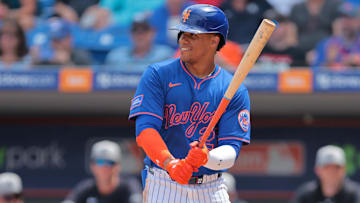Mar 24, 2025; Port St. Lucie, Florida, USA; New York Mets right fielder Juan Soto (22) looks on during his at bat against the New York Yankees during the first inning at Clover Park