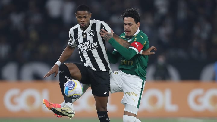 Botafogo e Palmeiras são fortes candidatos ao título