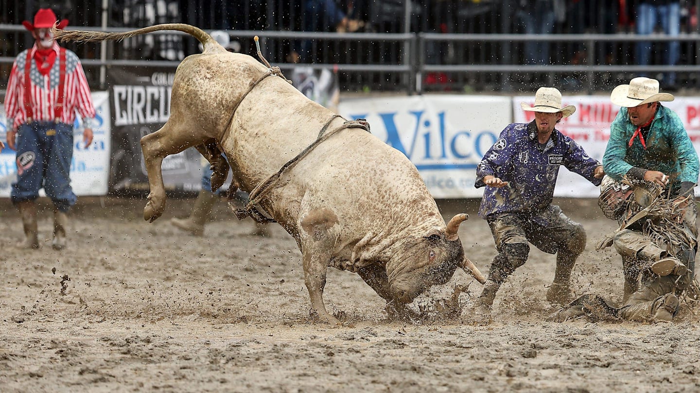Bullfighter Cody Webster Announced Disappointing News for Remainder of